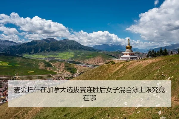 麦金托什在加拿大选拔赛连胜后女子混合泳上限究竟在哪