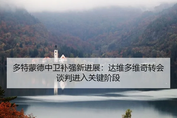 多特蒙德中卫补强新进展：达维多维奇转会谈判进入关键阶段