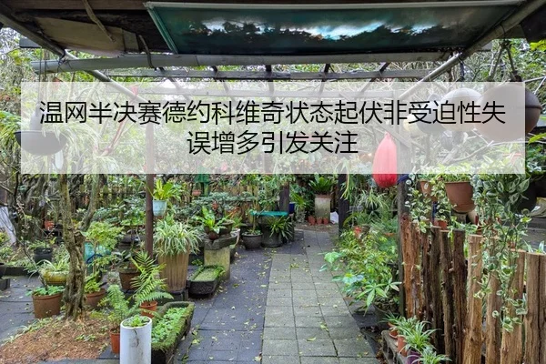 温网半决赛德约科维奇状态起伏非受迫性失误增多引发关注